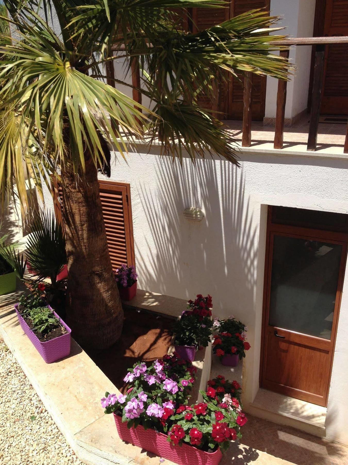 Villa Maria San Vito Lo Capo Exterior foto